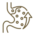 Simplified stomach diagram with symbols